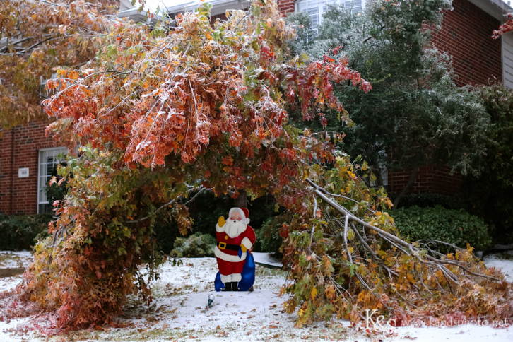 Dallas Wedding Photographers - K & S Photography